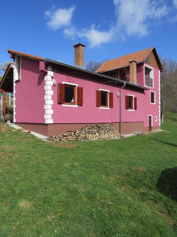 Planinska Kuca Mitke Villa Prolesje Екстериор снимка